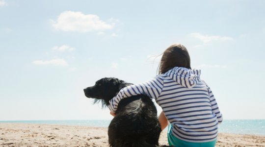 En tjej sitter på stranden och håller om sin hund