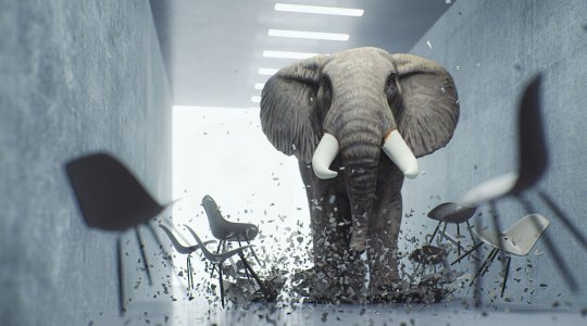 En elefant som stökar till det i ett rum